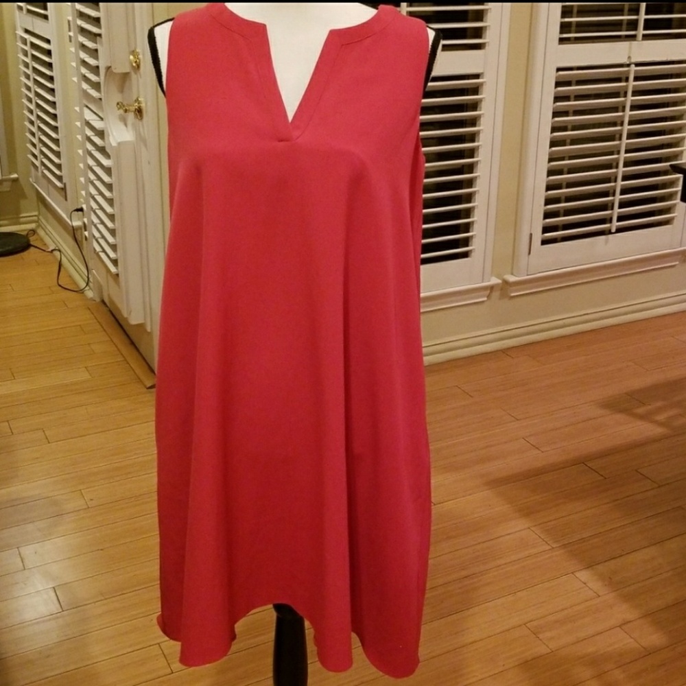 Adrianna Papell Pink Dress Size 2